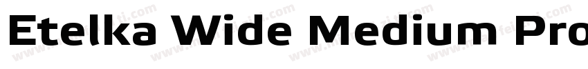 Etelka Wide Medium Pro Bold Italic字体转换